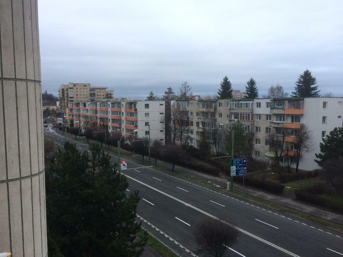 Luxury Brasov公寓 外观 照片